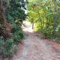 Земельный участок в Греции, Ионические острова, 6500 кв.м.