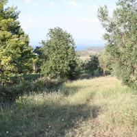 Land plot in Greece, Central Macedonia, Center