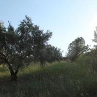 Land plot in Greece, Central Macedonia, Center