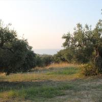 Land plot in Greece, Central Macedonia, Center