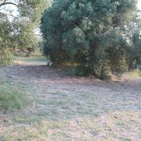 Land plot in Greece, Central Macedonia, Center