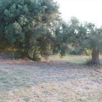 Land plot in Greece, Central Macedonia, Center