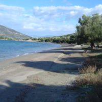 Другое в Греции, Центральная Греция, Vo, 224 кв.м.