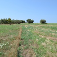 Земельный участок в Греции, Центральная Македония, Центр