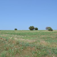 Земельный участок в Греции, Центральная Македония, Центр