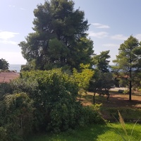 Другое в Греции, Центральная Македония, Центр, 53 кв.м.