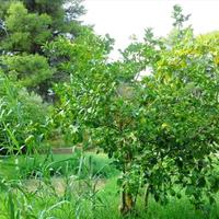 Другое в Греции, Центральная Македония, Центр, 53 кв.м.