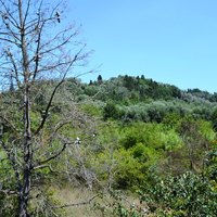 Other in Greece, Ionian Islands, 320 sq.m.