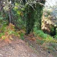 Земельный участок в Греции, Ионические острова, 331 кв.м.