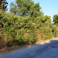 Земельный участок в Греции, Ионические острова, 331 кв.м.