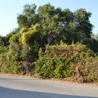 Земельный участок в Греции, Ионические острова, 331 кв.м.