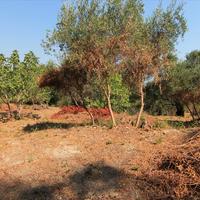 Land plot in Greece, Ionian Islands