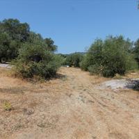 Land plot in Greece, Ionian Islands