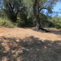 Land plot in Greece, Ionian Islands
