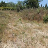 Land plot in Greece, Ionian Islands, 2077 sq.m.