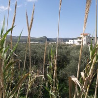 Land plot in Greece, Crete, Chania