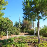 Вилла в Греции, Центральная Македония, Центр, 450 кв.м.