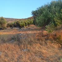 Земельный участок в Греции, Крит