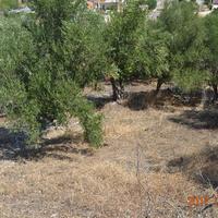 Land plot in Greece, Crete