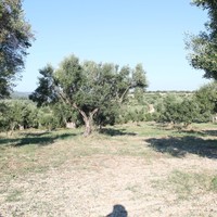 Земельный участок в Греции, Центральная Македония, Центр