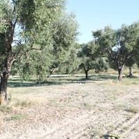 Земельный участок в Греции, Центральная Македония, Центр