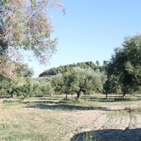 Земельный участок в Греции, Центральная Македония, Центр