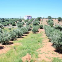 Земельный участок в Греции, Центральная Македония, Центр, 200 кв.м.