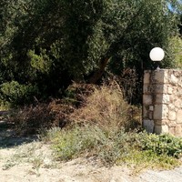 Land plot in Greece, Crete