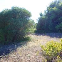 Земельный участок в Греции, Центральная Македония, Центр