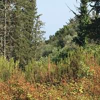 Land plot in Greece, Ionian Islands, 12615 sq.m.