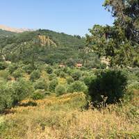 Land plot in Greece, Ionian Islands, 12615 sq.m.