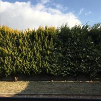 Other in Greece, Central Macedonia, Center, 140 sq.m.