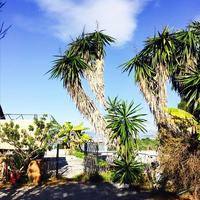 Other in Greece, Ionian Islands, 128 sq.m.