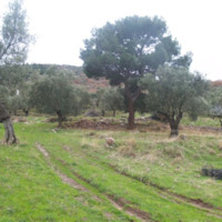 Land plot in Greece