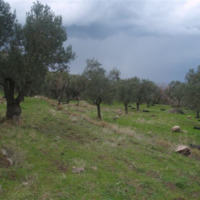 Land plot in Greece