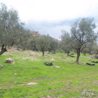 Land plot in Greece