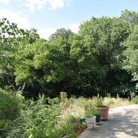 Business center in Greece, Central Macedonia, Center, 700 sq.m.