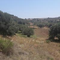 Land plot in Greece, Central Macedonia, Center