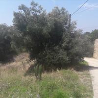 Land plot in Greece, Central Macedonia, Center