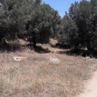 Land plot in Greece, Central Macedonia, Center