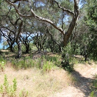 Земельный участок в Греции, Ионические острова, 2000 кв.м.