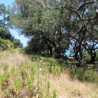 Земельный участок в Греции, Ионические острова, 2000 кв.м.