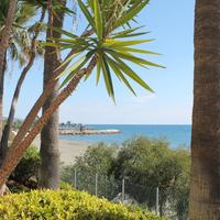 Other in Republic of Cyprus, Lima, 443 sq.m.