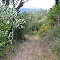 Земельный участок в Греции, Ионические острова, 2800 кв.м.