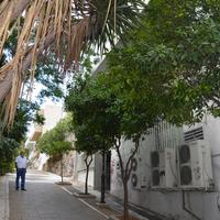 Business center in Greece, Attica, Athens, 310 sq.m.