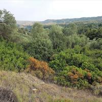 Земельный участок в Греции, Центральная Македония, Центр