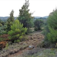 Земельный участок в Греции, Центральная Македония, Центр