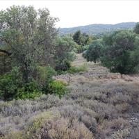 Земельный участок в Греции, Центральная Македония, Центр