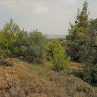 Земельный участок в Греции, Центральная Македония, Центр