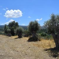 Land plot in Greece, Crete